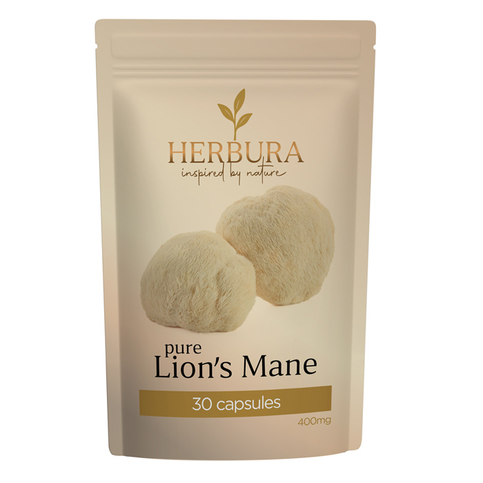 Pure Lion's Mane