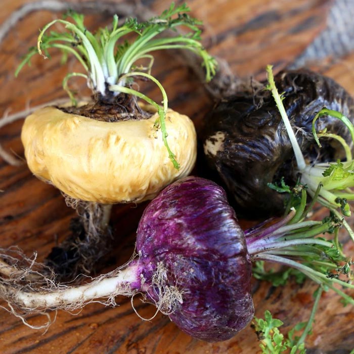 Pure Maca Root - Image 3