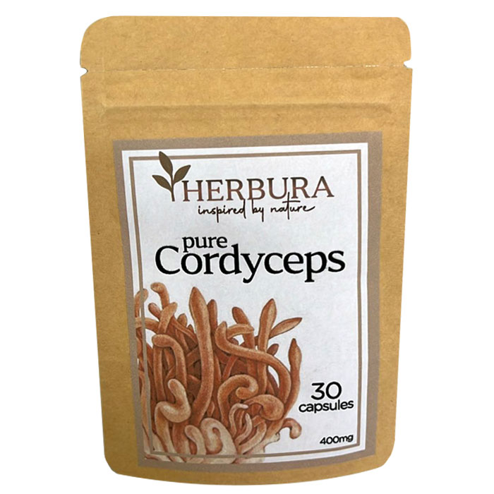 Pure Cordyceps - Image 2