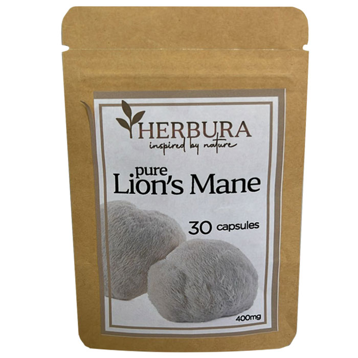 Pure Lion's Mane - Image 2