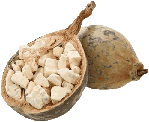 pure baobab